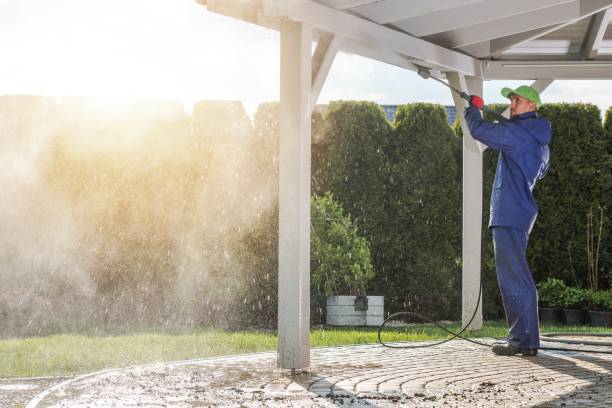 Best Driveway Pressure Washing  in Woodbridge, CA